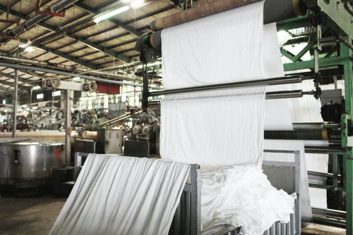 So sánh vải nhuộm cầm màu và vải không nhuộm cầm màu